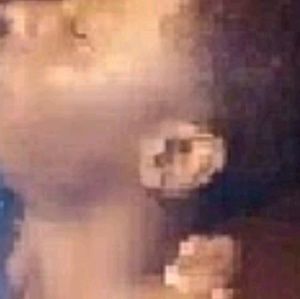 Meet your Posher, Phillip